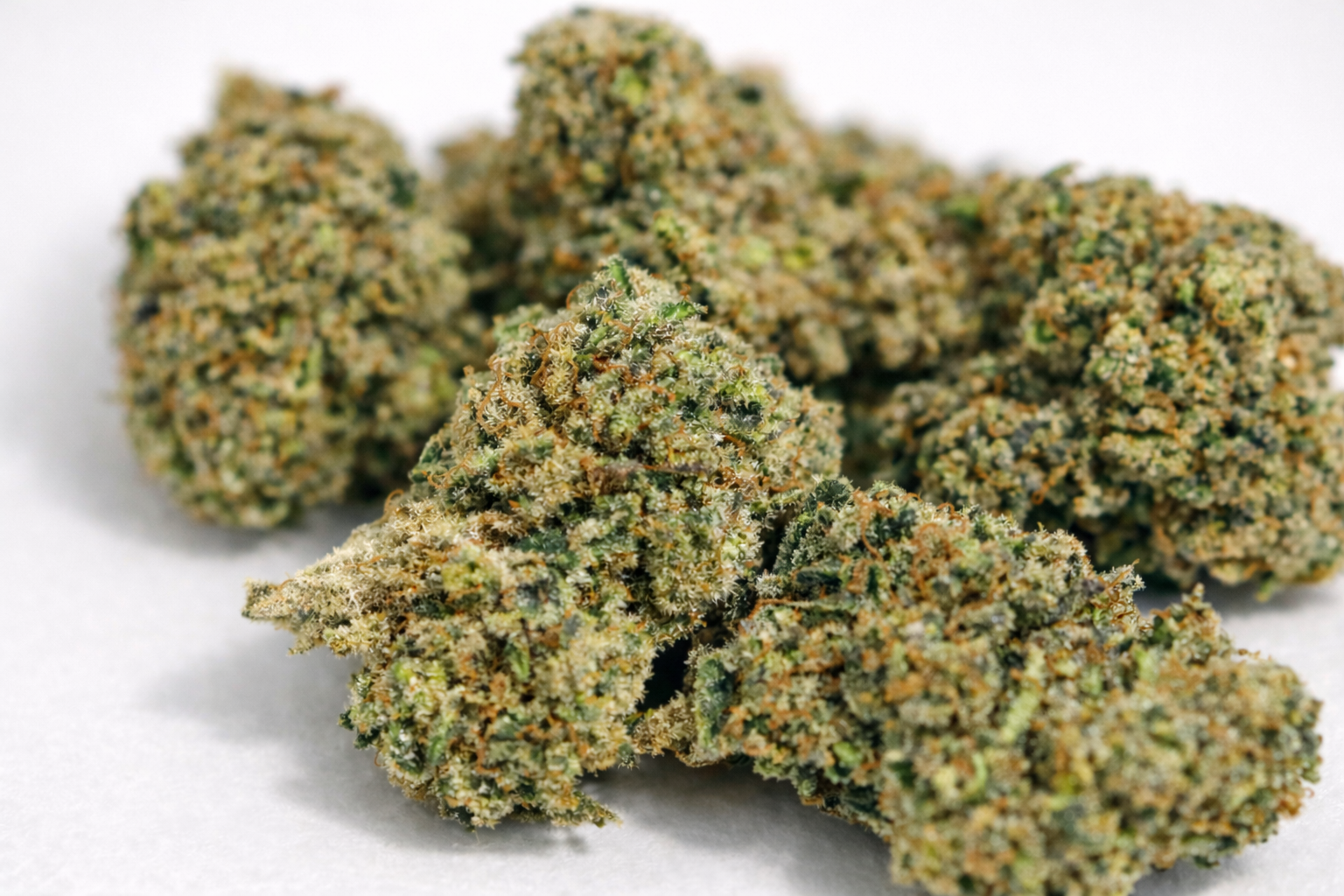 INFUSION FLEURS CBD / AMNESIA HCT