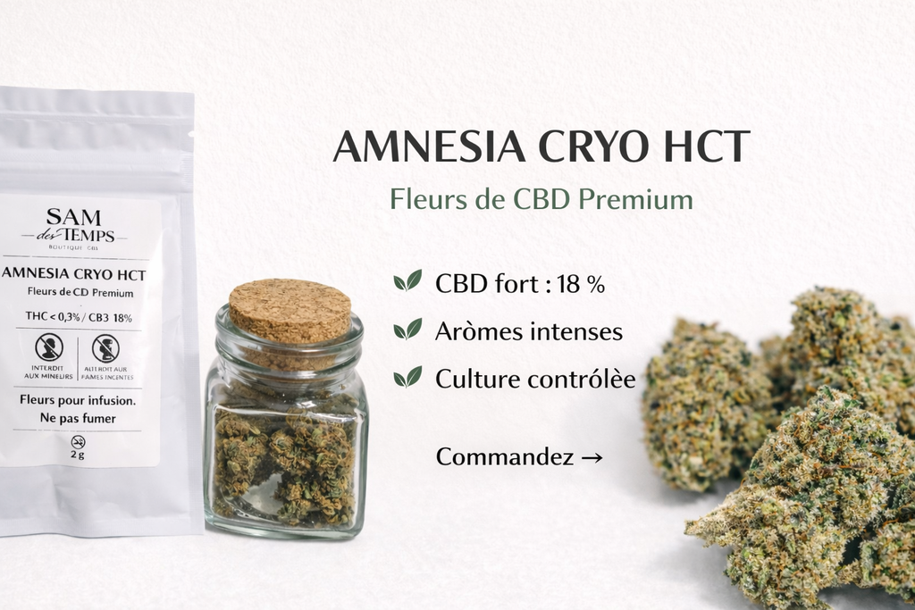 INFUSION FLEURS CBD / AMNESIA HCT